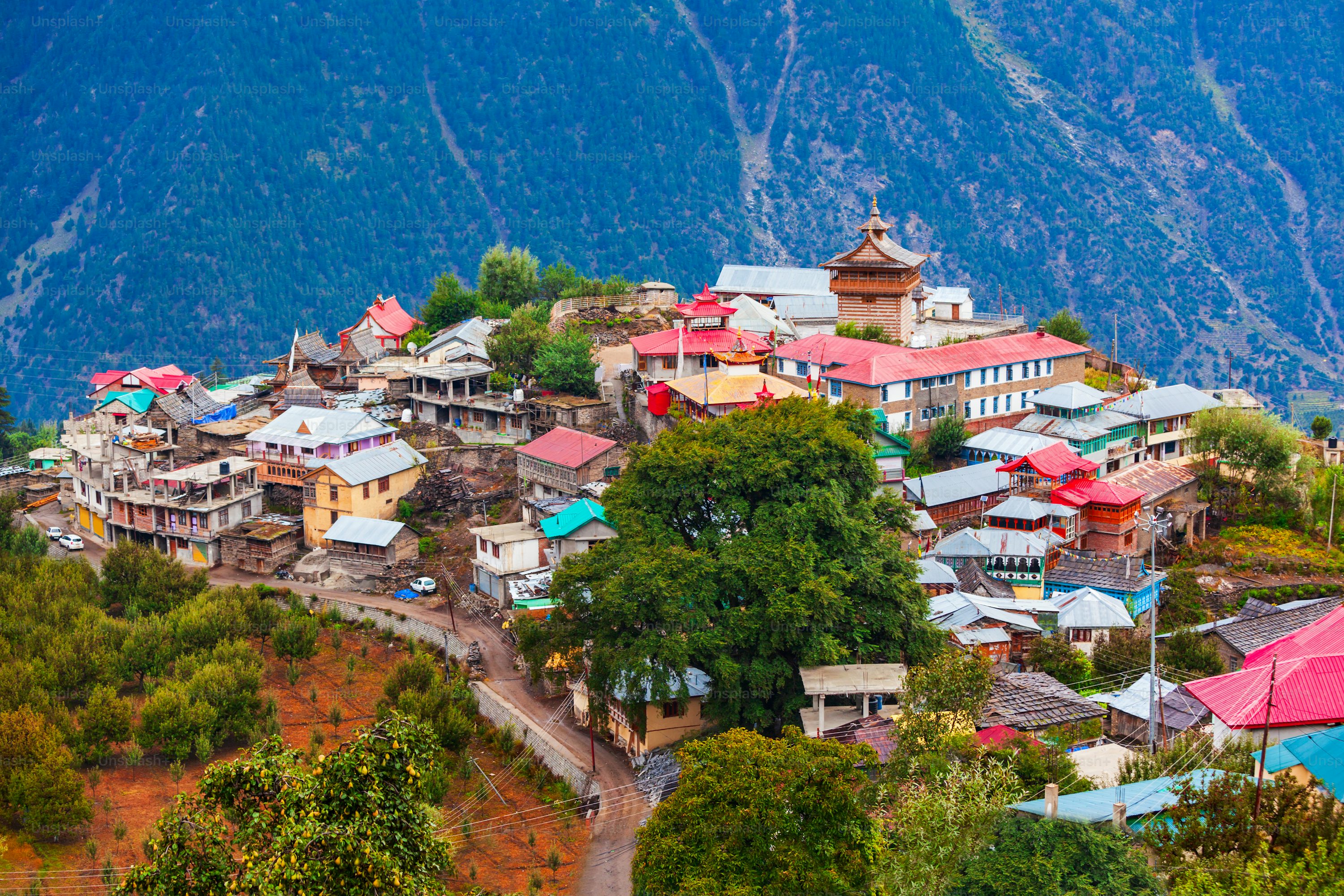 shimla tour packages